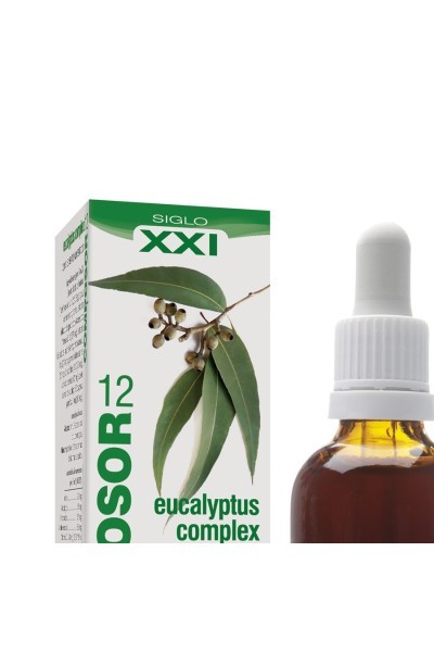 Soria Composor 12 Eucalypthus S Xxi 50ml