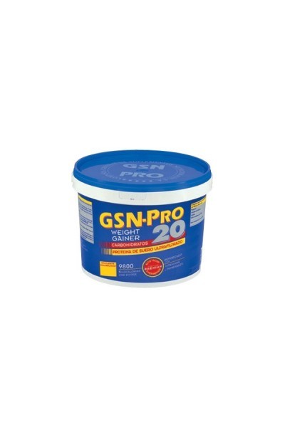 Gsn Pro 20 Chocolate 2,5 Kg