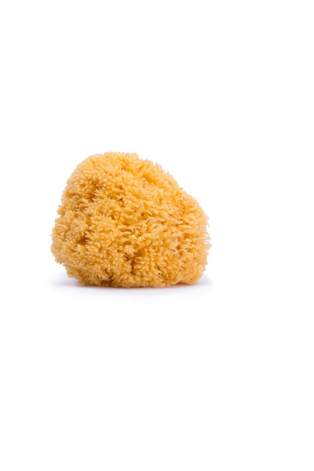Suavinex Medium Natural Sponge