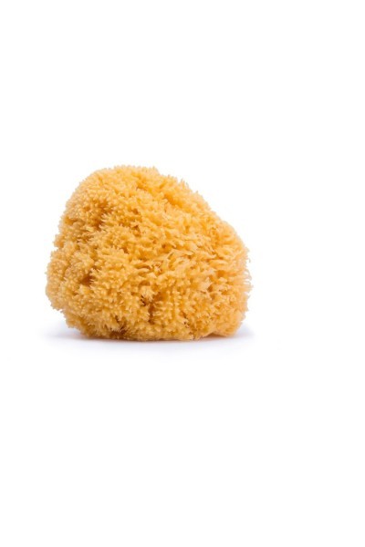 Suavinex Medium Natural Sponge